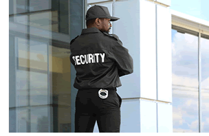 Armed/Unarmed Physical Security Services Armed/Unarmed Physical Security Services