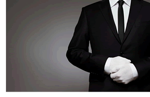 VIP Protection VIP Protection